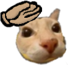 d7
