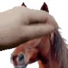 PETTHEHORSE emote