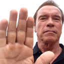 arnoldHalt