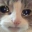 Emote