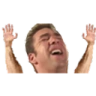 HandsUp emote