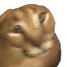 Floppas emote