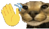 FloppaHey emote