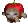 Applecatrun emote