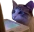 WatchingStream