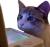 WatchingStream emote