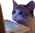 WatchingStream
