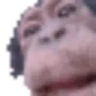monkeyLick emote