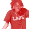 teccaPls emote