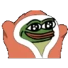 BLANKIES emote