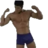 vanPls emote