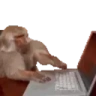 monkeyChat emote