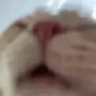 lecker emote