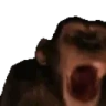 MONKE emote