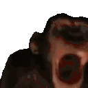 MONKE