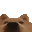 dogStare