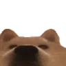 STARE emote