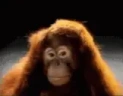 NO emote