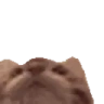 Tasty emote