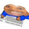 WideTypo emote