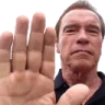 ArnoldHalt emote