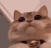 modCheck emote