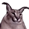 floppaJAM emote
