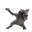 CatDance