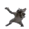 CatDance emote