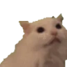 MYAAA emote