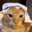 ANELECAT