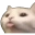 SillyCat