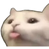 SillyCat emote