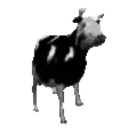 cowjam