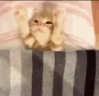 aMimir emote