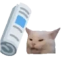 bonkCat emote