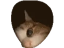 whoDis emote