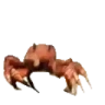 crabPls emote