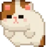 BIGCAT emote
