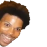 ANYGIFTERS emote