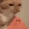 Melon emote