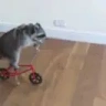 bike emote