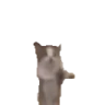 ppHop emote