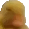 smh emote