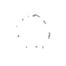 ppFoop emote