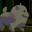 DiscoDoge