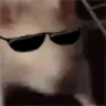 ratJAM emote