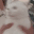 CatShake
