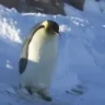 bruhFaint emote