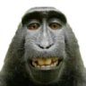 MonkeLooking emote